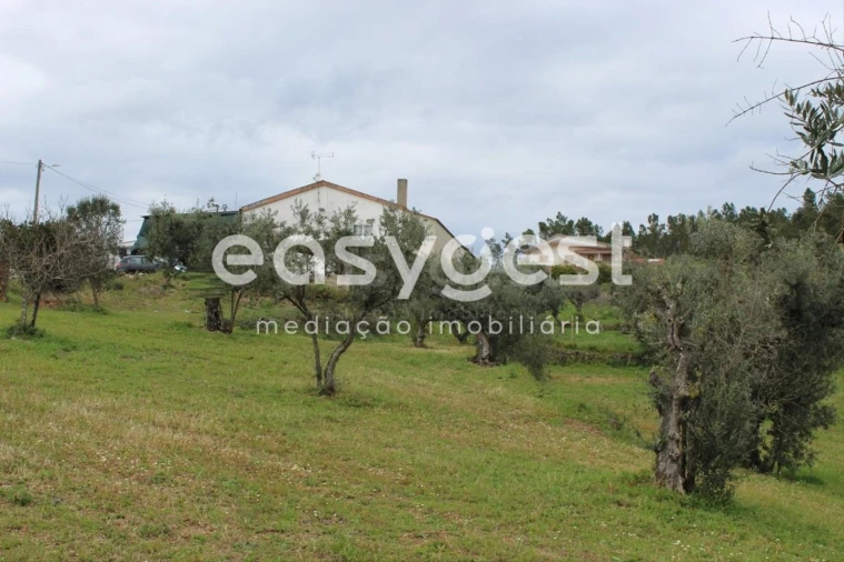 Terreno para Venda em Cardigos Foto 18