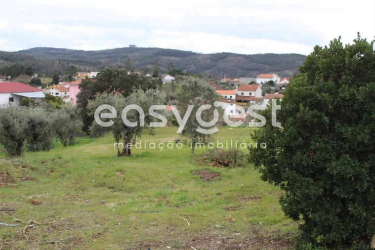 Terreno para Venda em Cardigos Foto 23