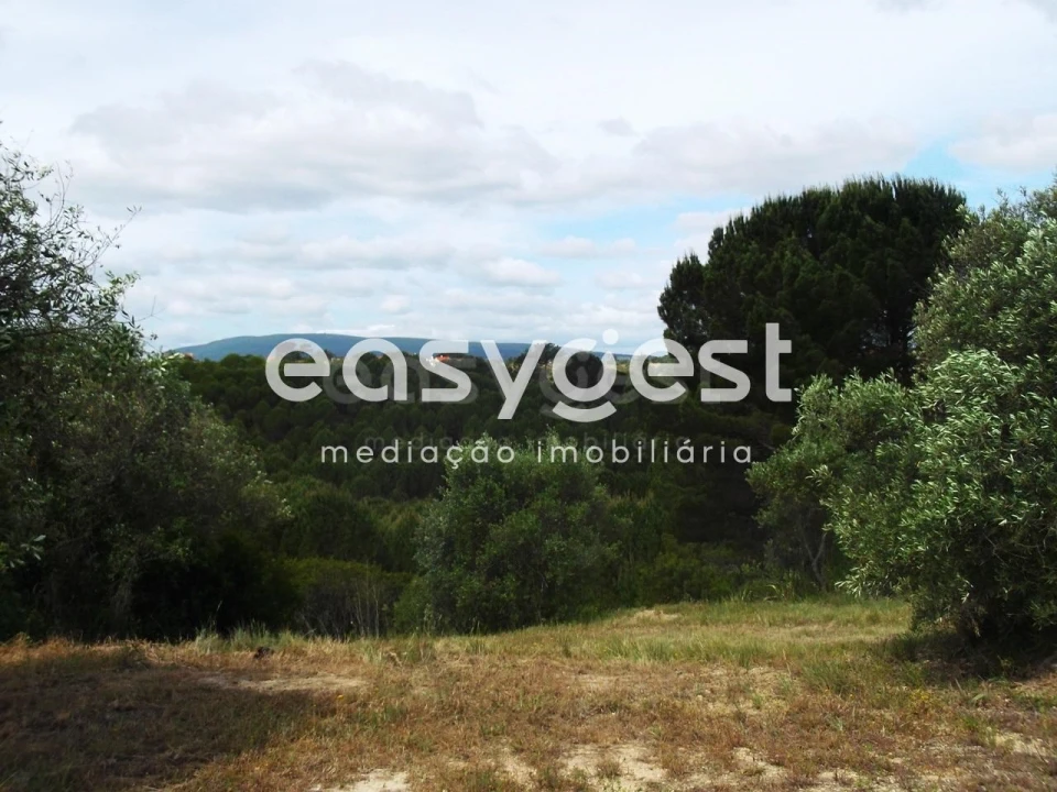 Terreno para Venda em Assentiz Foto 4