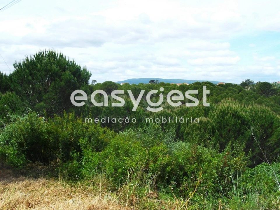 Terreno para Venda em Assentiz Foto 11