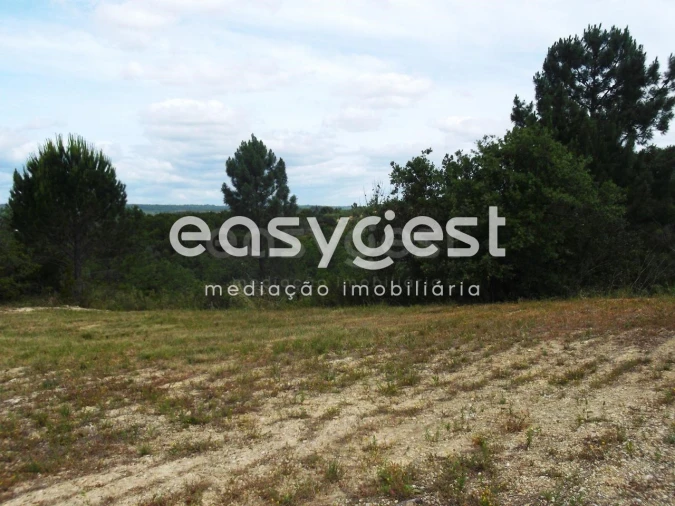 Terreno para Venda em Assentiz Foto 6