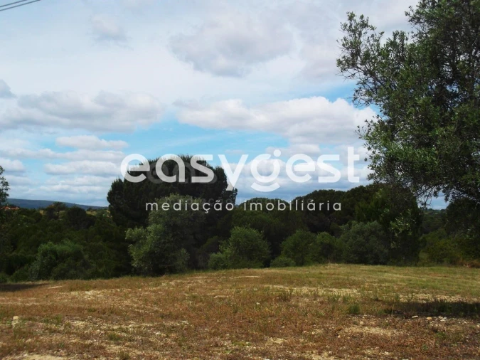 Terreno para Venda em Assentiz Foto 10