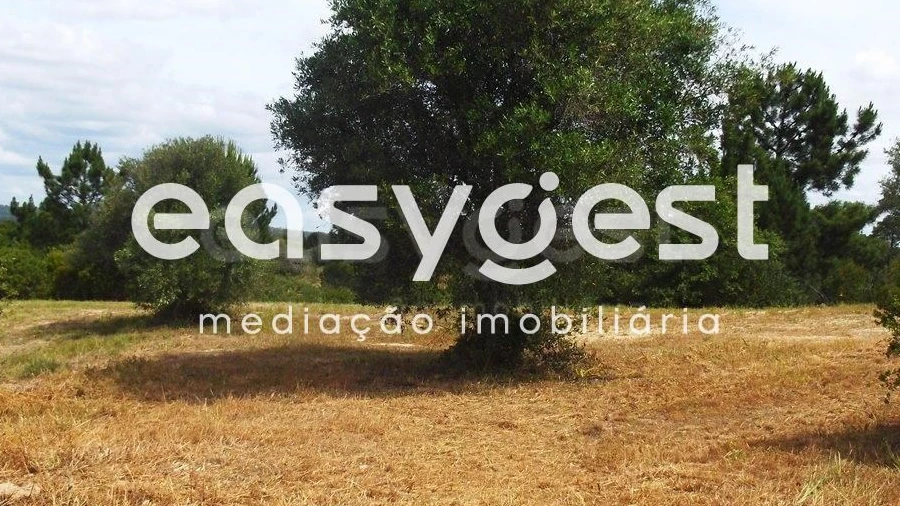 Terreno para Venda em Assentiz
