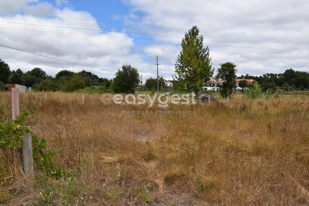 Terreno para Venda em Rio de Loba Foto 3