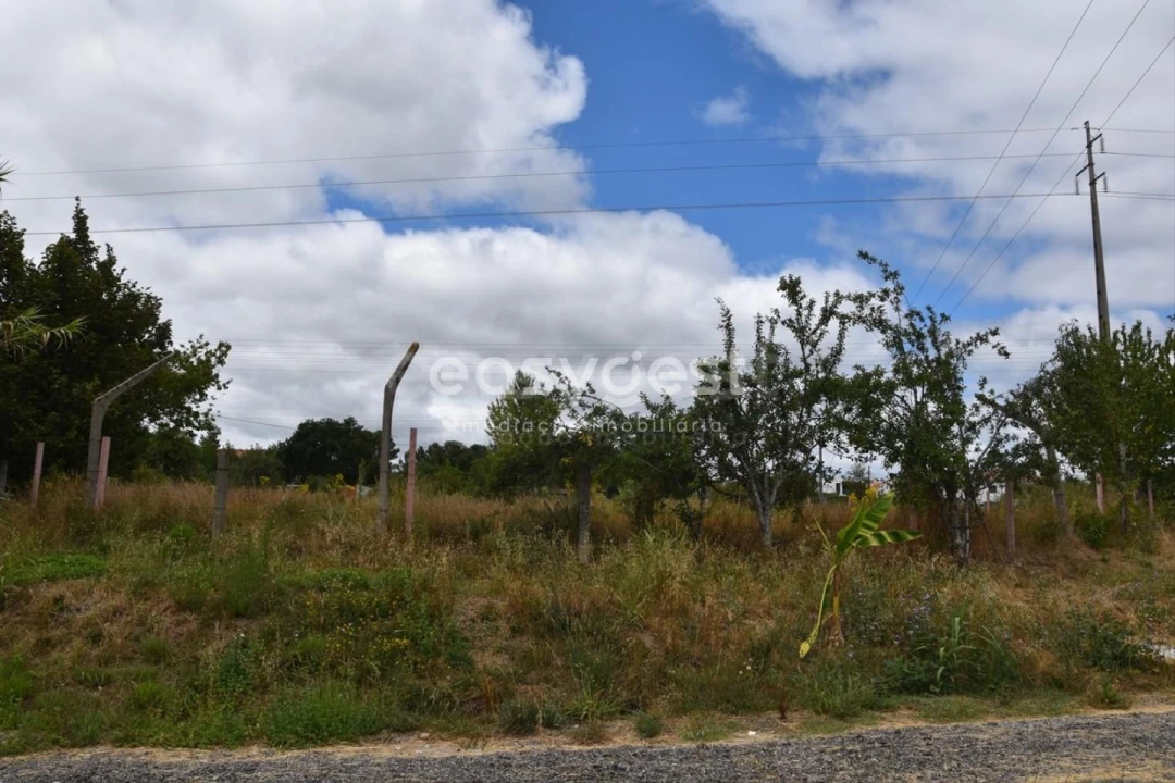 Terreno para Venda em Rio de Loba Foto 4