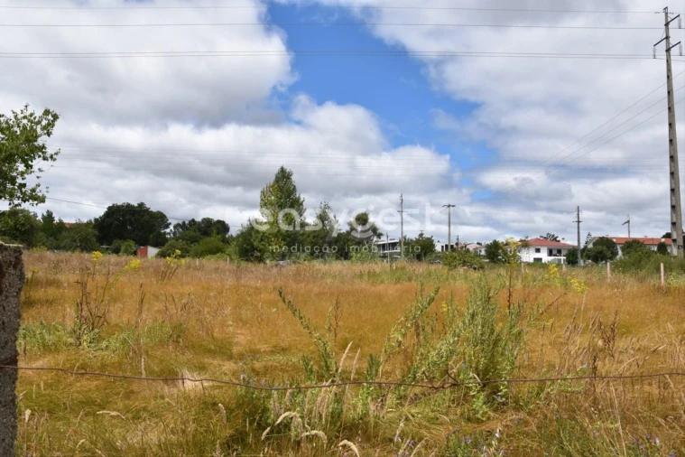 Terreno para Venda em Rio de Loba Foto 2