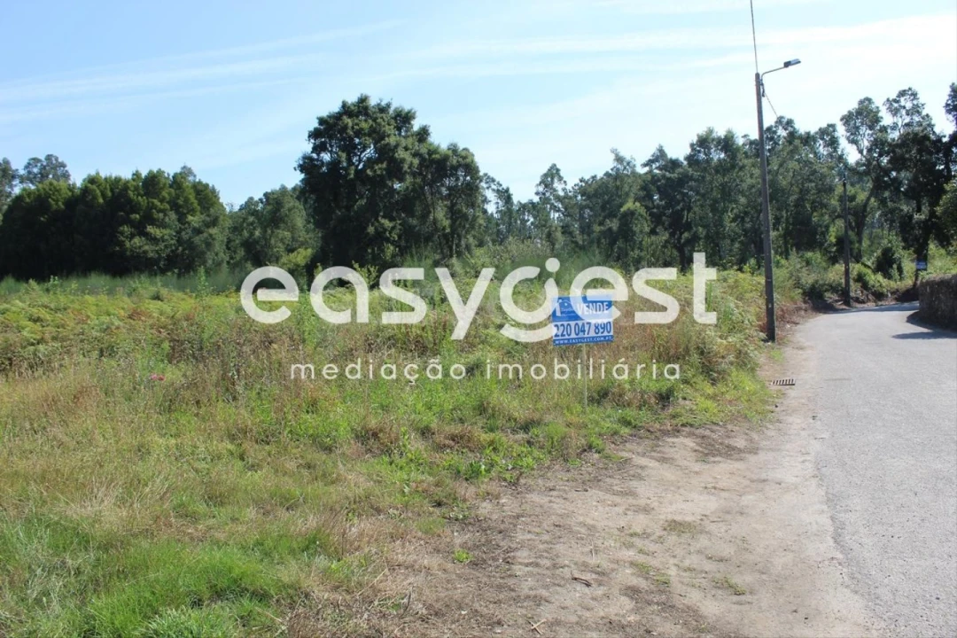 Terreno para Venda em Santa Maria da Feira, Travanca, Sanfins e Espargo Foto 2