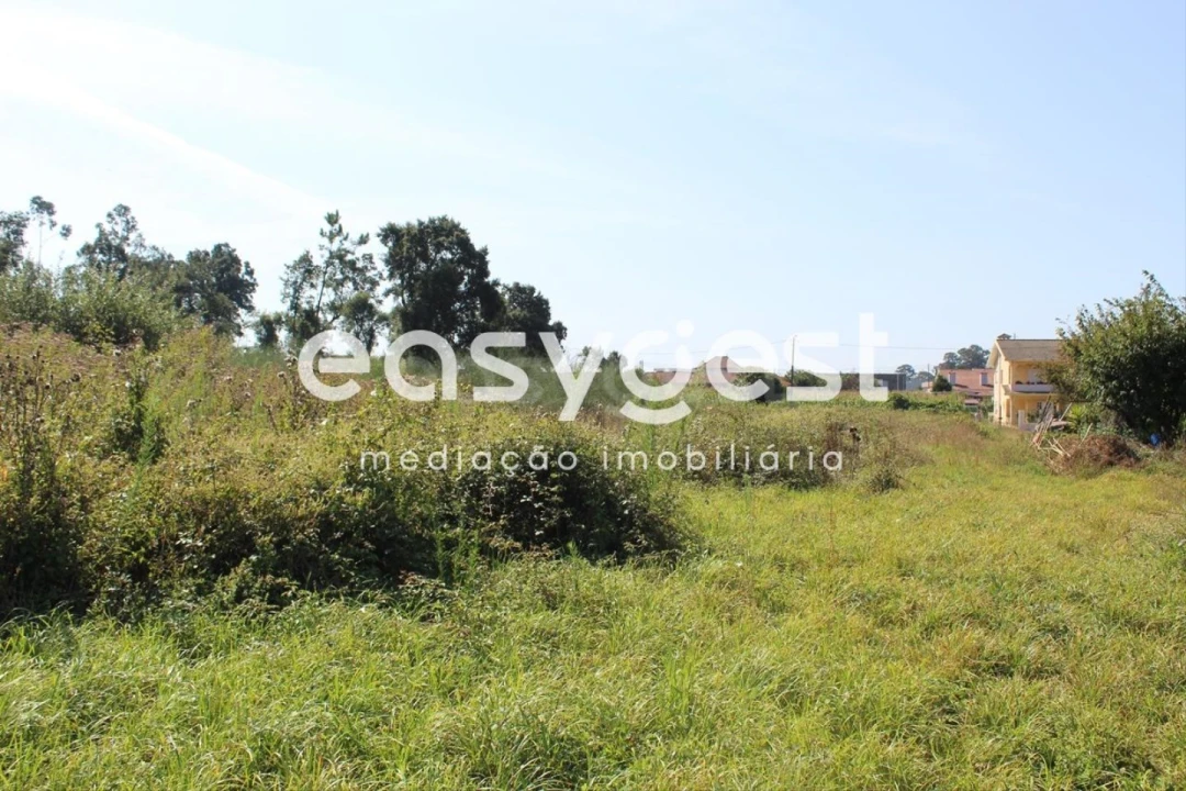 Terreno para Venda em Santa Maria da Feira, Travanca, Sanfins e Espargo Foto 3