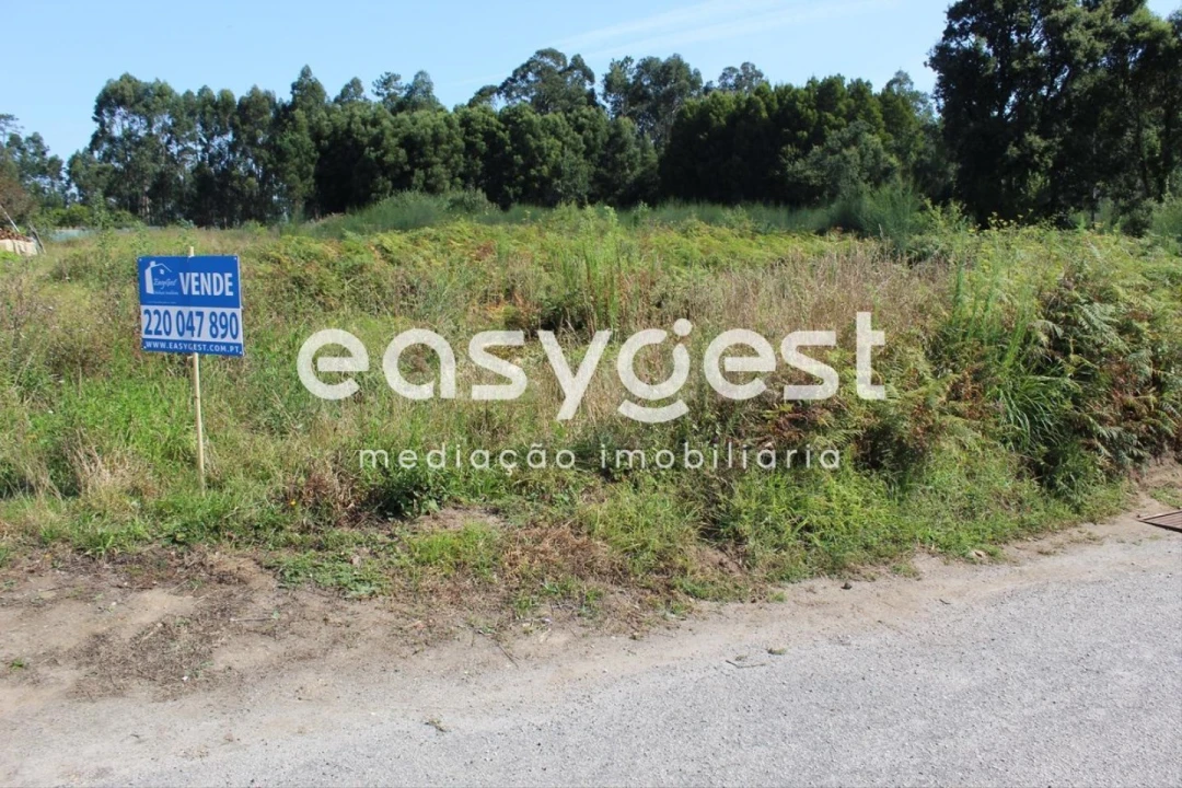 Terreno para Venda em Santa Maria da Feira, Travanca, Sanfins e Espargo Foto 4