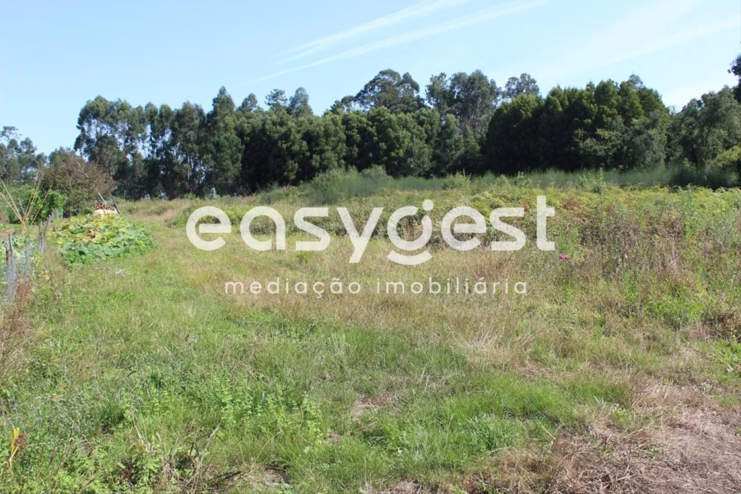 Terreno para Venda em Santa Maria da Feira, Travanca, Sanfins e Espargo Foto 5