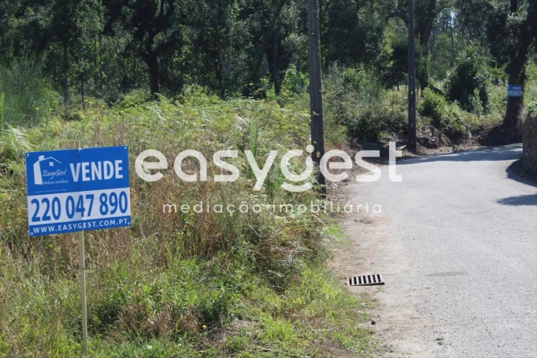 Terreno para Venda em Santa Maria da Feira, Travanca, Sanfins e Espargo Foto 1