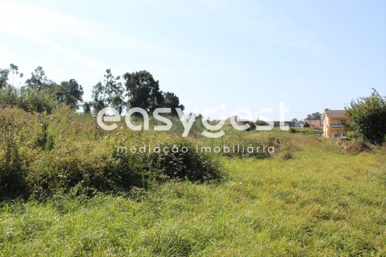 Terreno para Venda em Santa Maria da Feira, Travanca, Sanfins e Espargo Foto 3