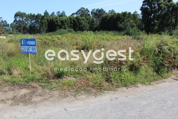 Terreno para Venda em Santa Maria da Feira, Travanca, Sanfins e Espargo Foto 4
