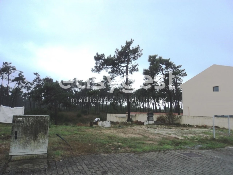 Terreno para Venda em Ovar, São João, Arada e São Vicente de Pereira Jusã Foto 3