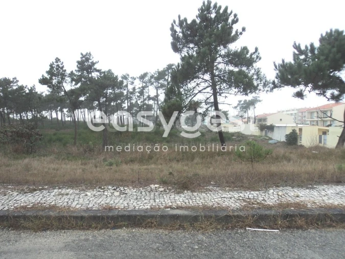 Terreno para Venda em Ovar, São João, Arada e São Vicente de Pereira Jusã Foto 4