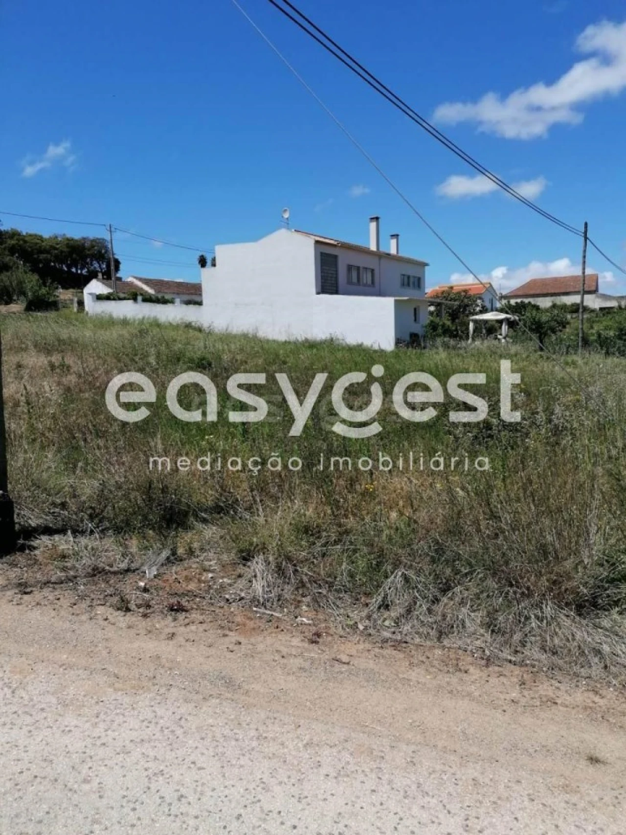 Terreno para Venda em Bombarral e Vale Covo Foto 1
