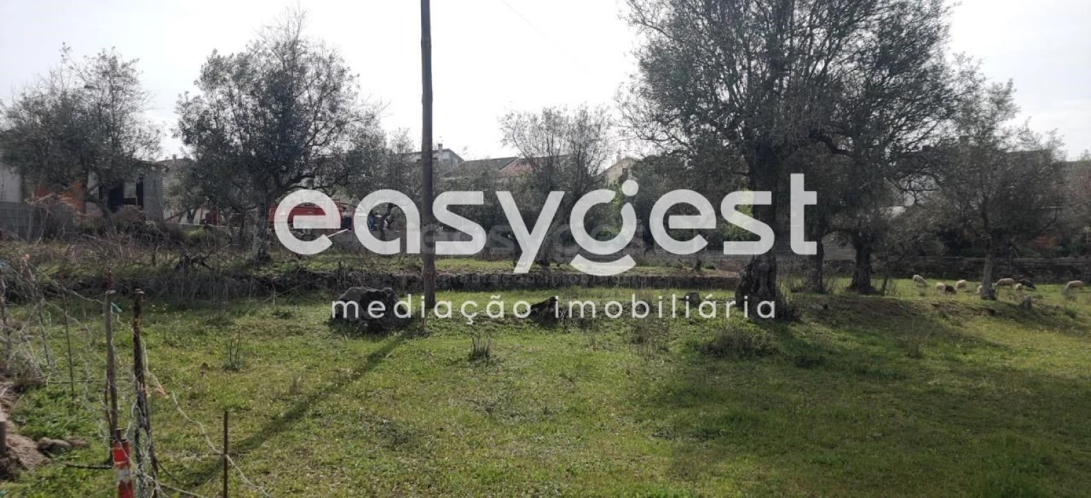 Terreno para Venda em Escalos de Cima e Lousa Foto 4