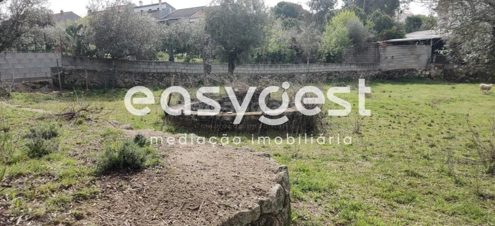 Terreno para Venda em Escalos de Cima e Lousa Foto 9