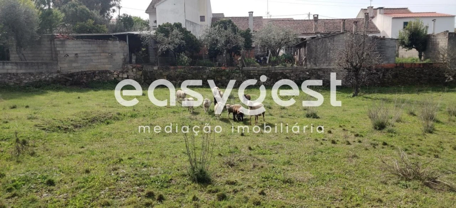 Terreno para Venda em Escalos de Cima e Lousa Foto 13