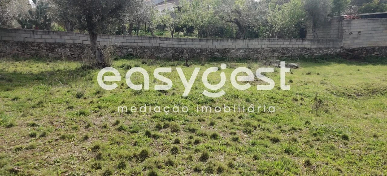 Terreno para Venda em Escalos de Cima e Lousa Foto 14