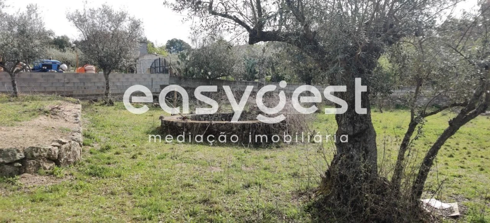 Terreno para Venda em Escalos de Cima e Lousa Foto 19