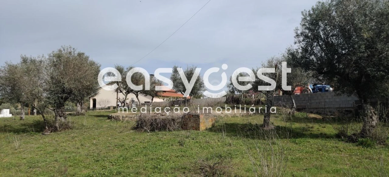 Terreno para Venda em Escalos de Cima e Lousa Foto 25