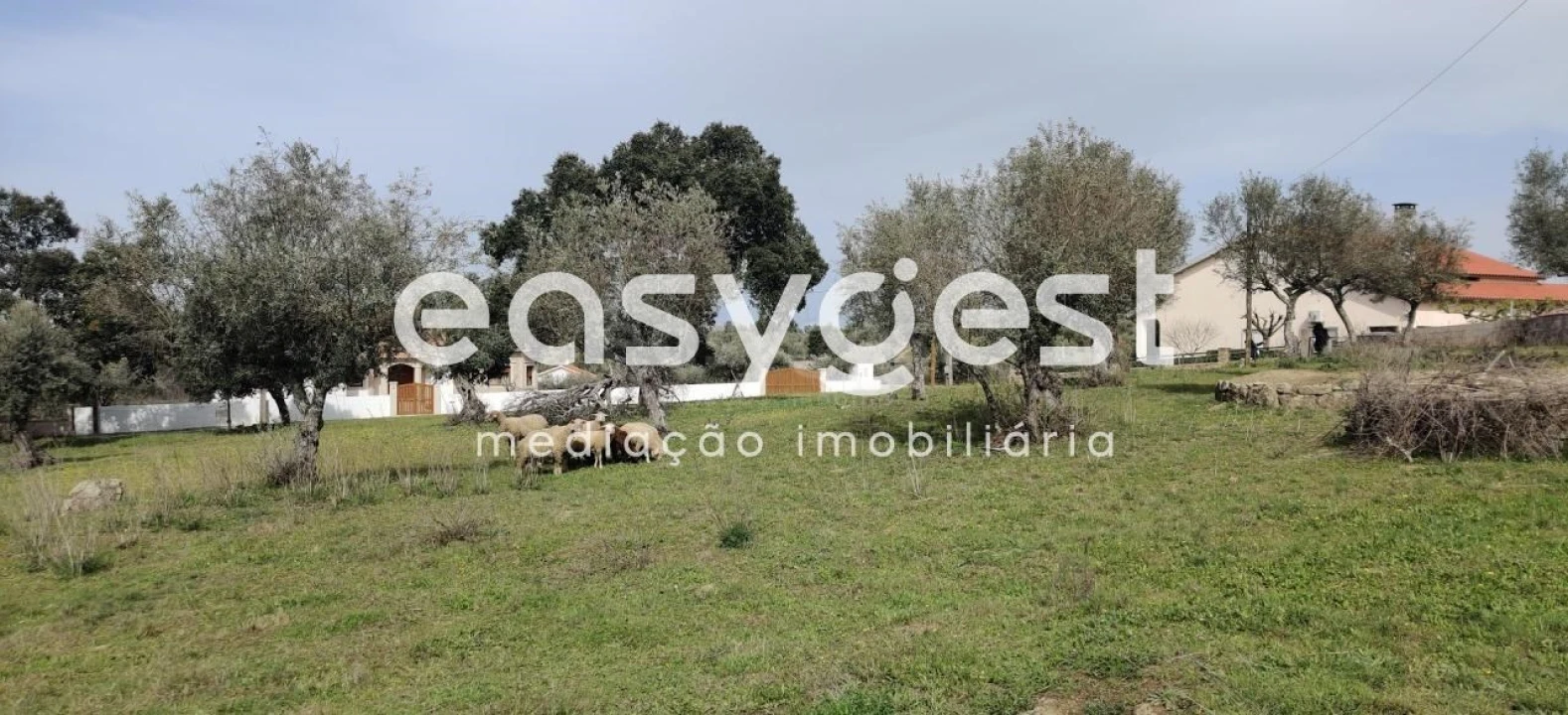 Terreno para Venda em Escalos de Cima e Lousa Foto 26