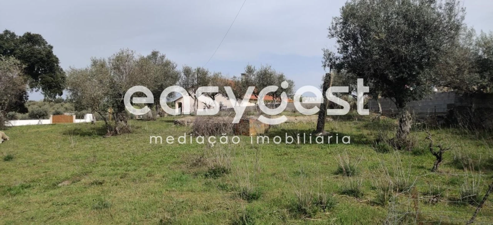 Terreno para Venda em Escalos de Cima e Lousa Foto 30