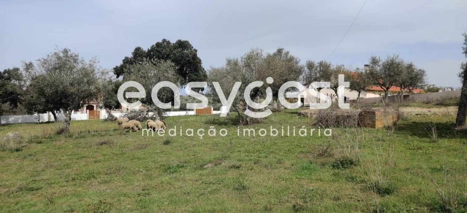 Terreno para Venda em Escalos de Cima e Lousa Foto 31