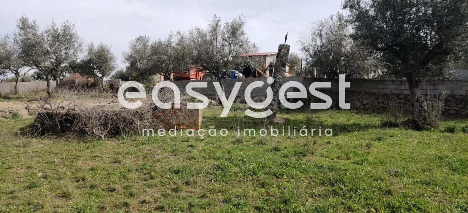 Terreno para Venda em Escalos de Cima e Lousa Foto 33