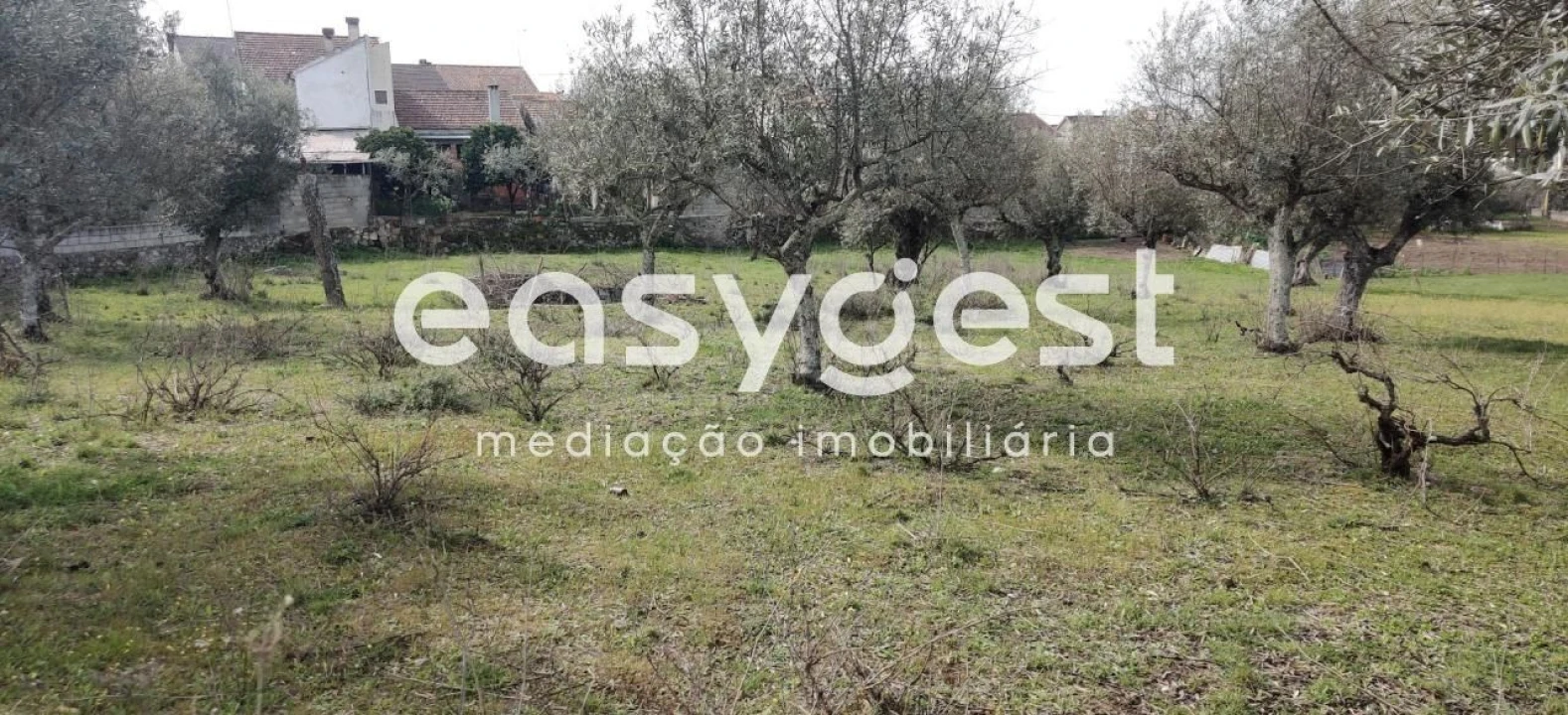 Terreno para Venda em Escalos de Cima e Lousa Foto 37