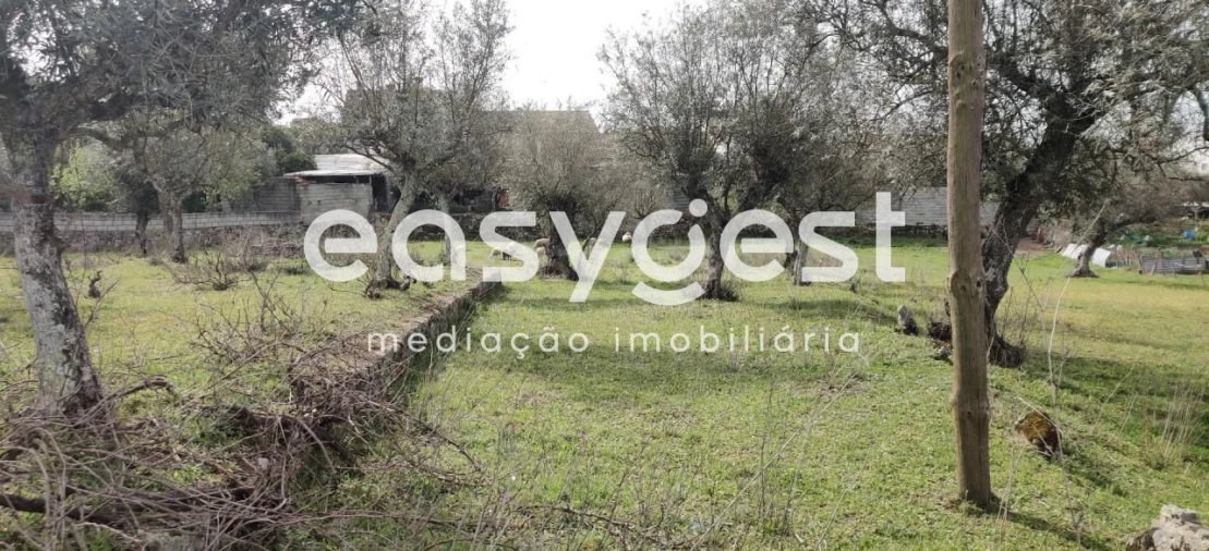 Terreno para Venda em Escalos de Cima e Lousa Foto 1