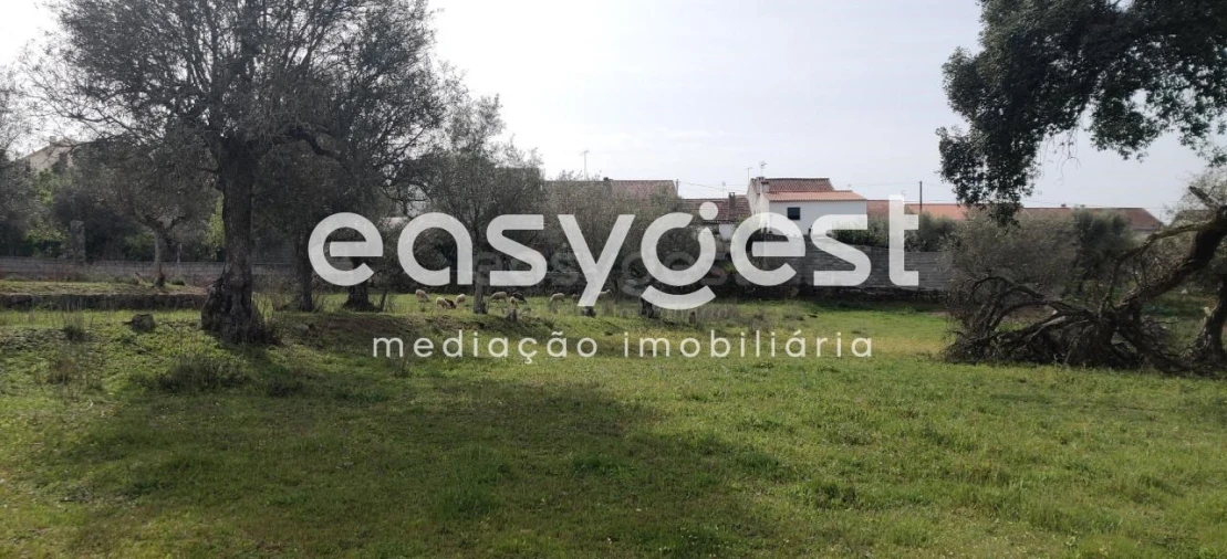 Terreno para Venda em Escalos de Cima e Lousa Foto 5