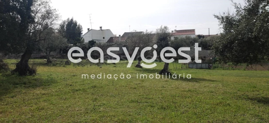 Terreno para Venda em Escalos de Cima e Lousa Foto 6