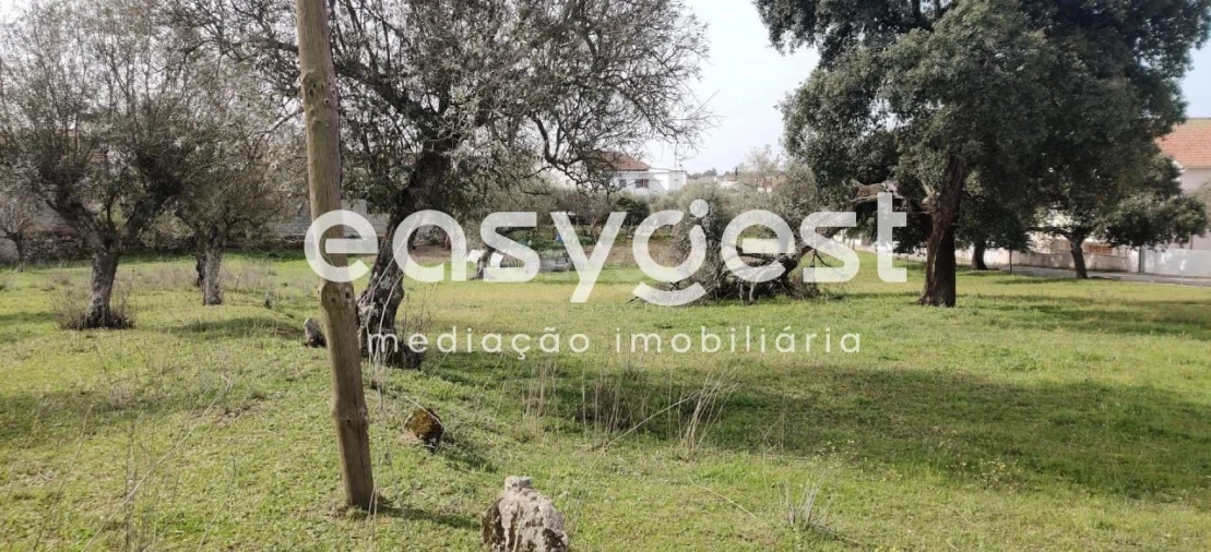 Terreno para Venda em Escalos de Cima e Lousa Foto 11