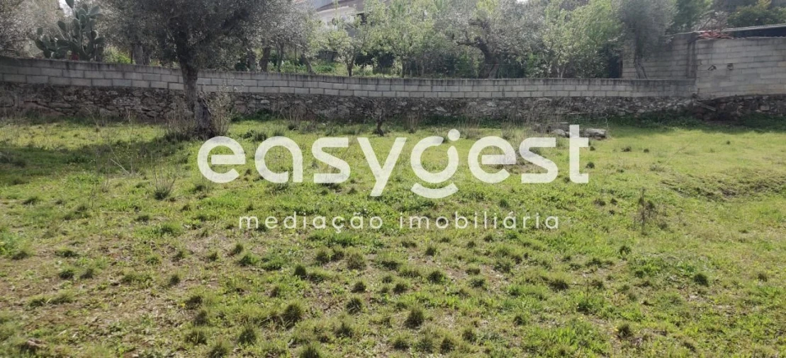 Terreno para Venda em Escalos de Cima e Lousa Foto 14