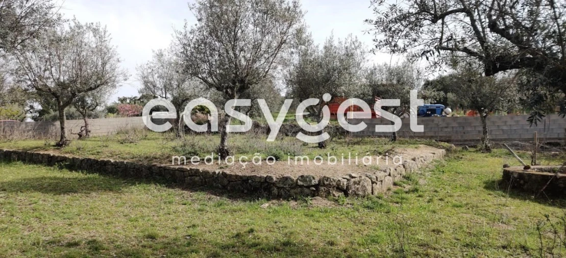 Terreno para Venda em Escalos de Cima e Lousa Foto 17