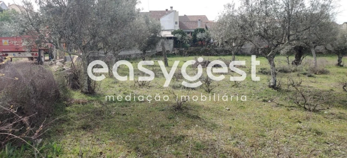 Terreno para Venda em Escalos de Cima e Lousa Foto 20