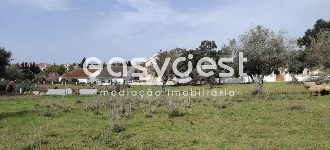 Terreno para Venda em Escalos de Cima e Lousa Foto 27