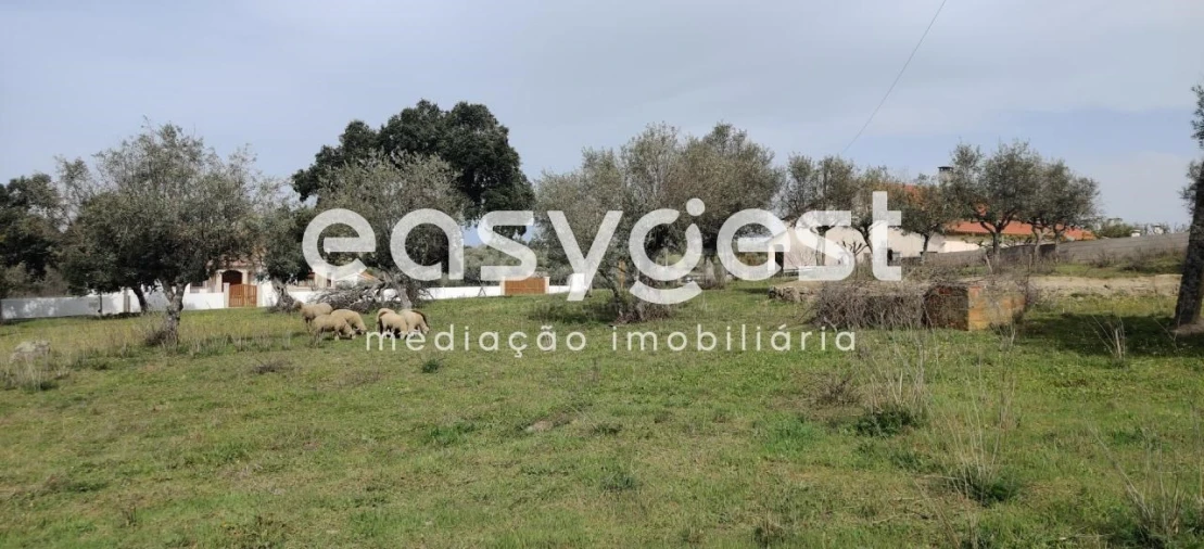 Terreno para Venda em Escalos de Cima e Lousa Foto 31
