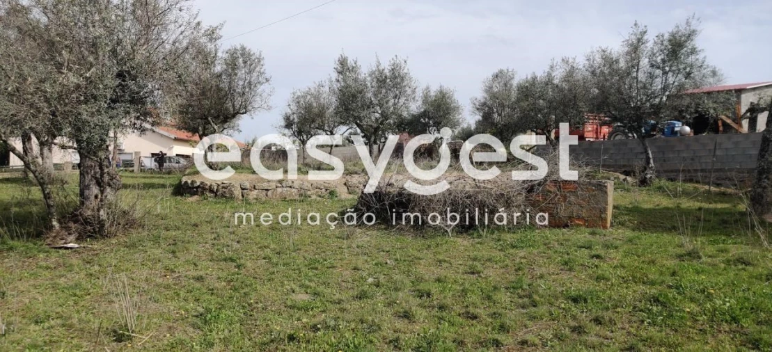 Terreno para Venda em Escalos de Cima e Lousa Foto 32