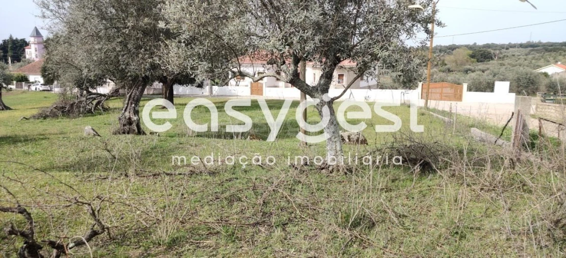 Terreno para Venda em Escalos de Cima e Lousa Foto 35