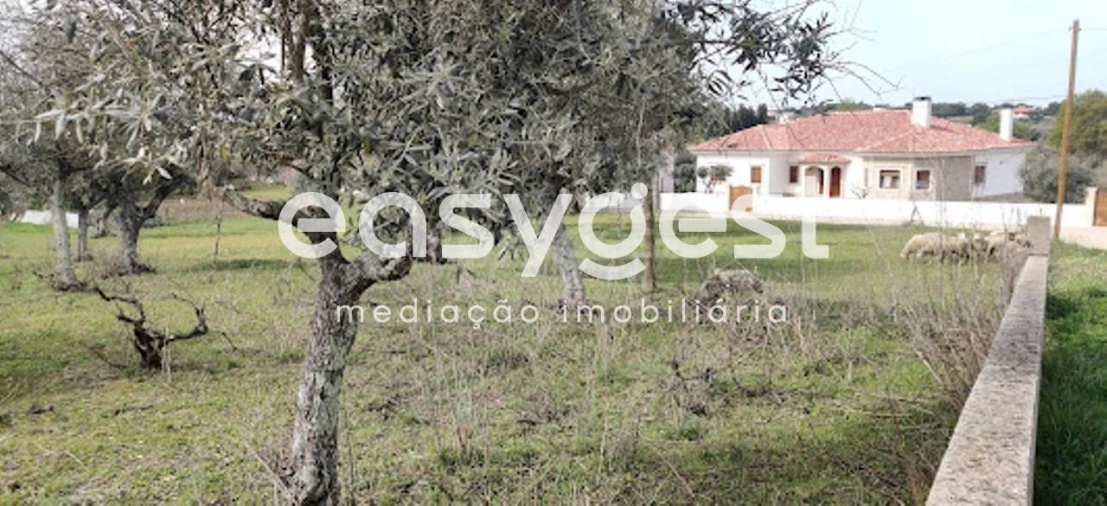 Terreno para Venda em Escalos de Cima e Lousa Foto 39