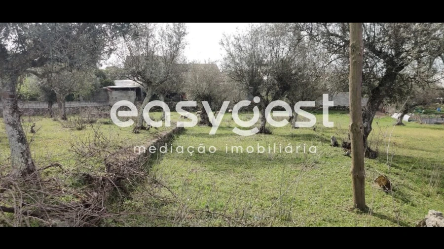 Terreno para Venda em Escalos de Cima e Lousa