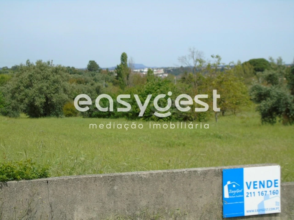 Terreno para Venda em São João Baptista e Santa Maria dos Olivais Foto 7