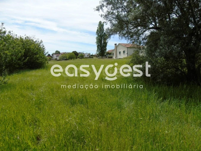 Terreno para Venda em São João Baptista e Santa Maria dos Olivais Foto 10