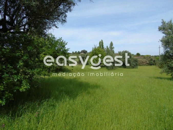 Terreno para Venda em São João Baptista e Santa Maria dos Olivais Foto 11