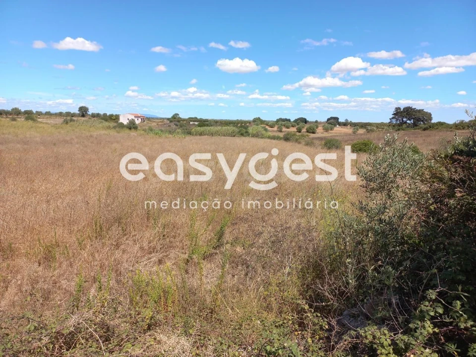 Terreno para Venda em Almoster Foto 7