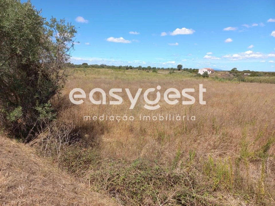 Terreno para Venda em Almoster Foto 9