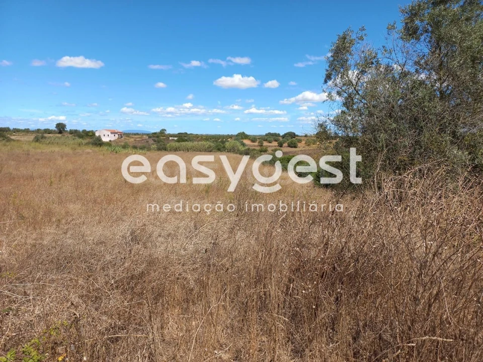 Terreno para Venda em Almoster Foto 12